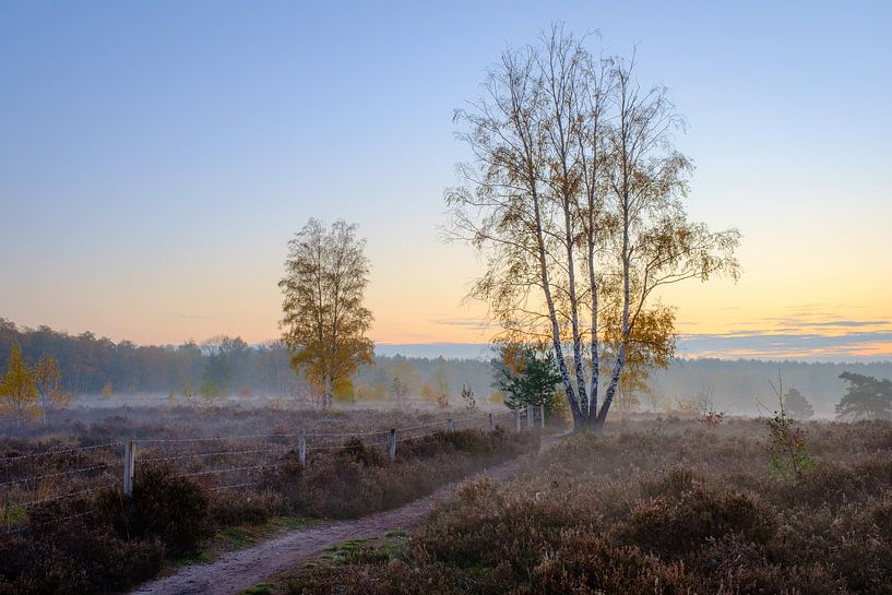 Sonnenaufgang Der Deutsche von Johan Vanbockryck