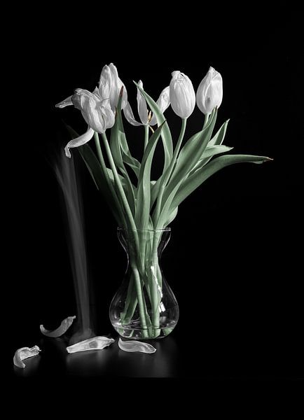 Feuilles tombantes de tulipes blanches par Jefra Creations