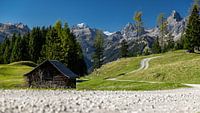 Chemin de randonnée Bartholomäberg sur un Maisäßlandschaft à Montafon