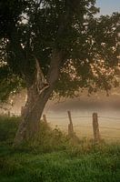 Sonnenaufgang über den Rieselfeldern in Münster