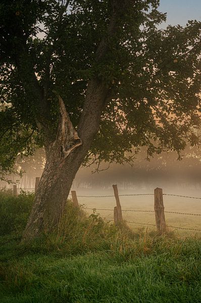 Sonnenaufgang über den Rieselfeldern in Münster von Thorsten Wind