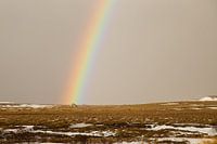 Kleurrijke regenboog in IJsland