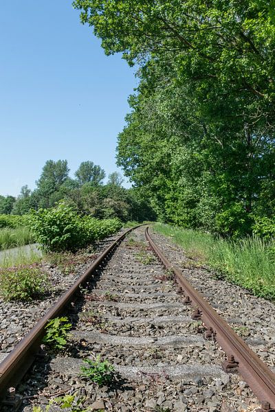 Voie ferrée abandonnée dans la forêt par Patrick Verhoef