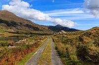 Route solitaire à travers la vallée.