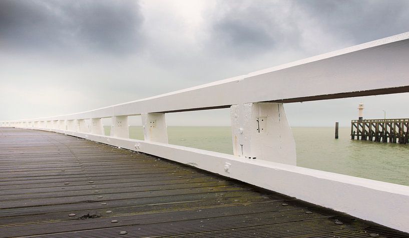 1059 Bois salé par Adrien Hendrickx