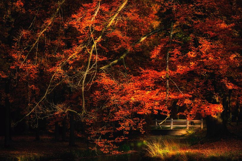 Baarn, Schloss Groeneveld von Martijn Schruijer