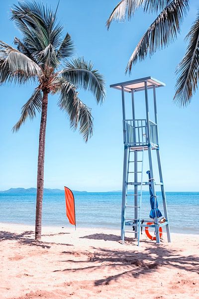 Tropischer Strand von Manjik Pictures