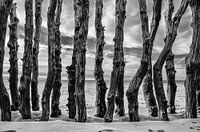 Breakwaters in St. Malo Brittany