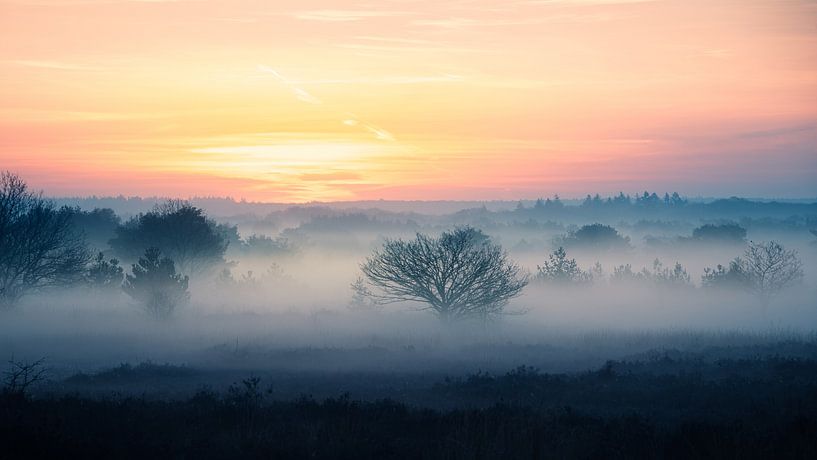 Ochtendnevel op het Houtdorperveld van Erwin Pilon