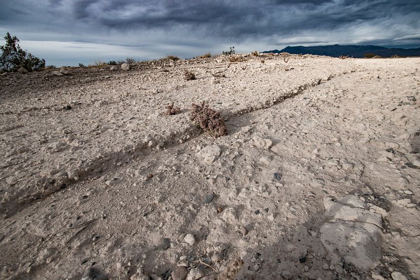 Nevada desert landscape bare, lonely sand and stones by Marianne van der Zee