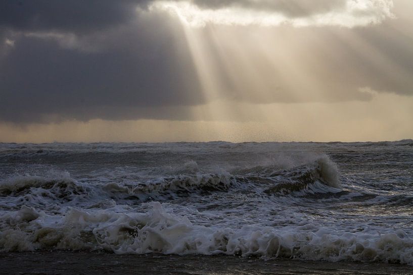 Une mouette se tient sur une plage avec un soleil couchant pendant une tempête. par Menno van Duijn