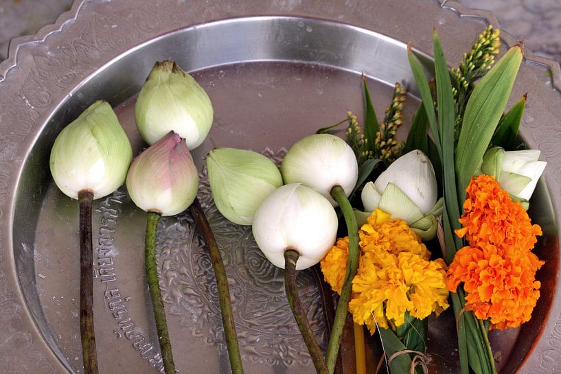 Blumen in Indien von Gert-Jan Siesling