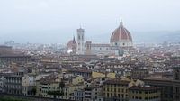 Vue sur Florence