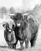 Hair in the wind; Highland mother and child