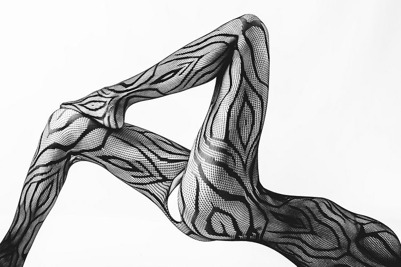 Ohne Titel von Doris Reindl