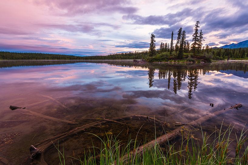 Le soleil de minuit en Alaska par Denis Feiner