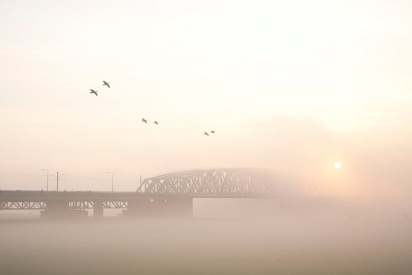 westervoort, brug in de mist by joas wilzing