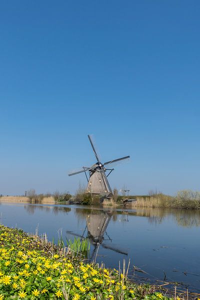 Moulin à vent néerlandais à Kinderdijk avec de belles fleurs jaunes par Patrick Verhoef