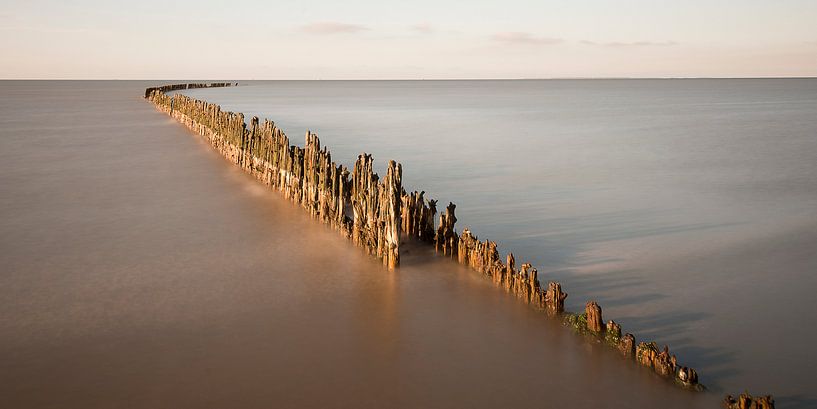 ..... just this feeling by Aline van Weert