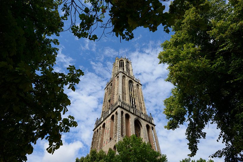 La tour du Dom à Utrecht par In Utrecht