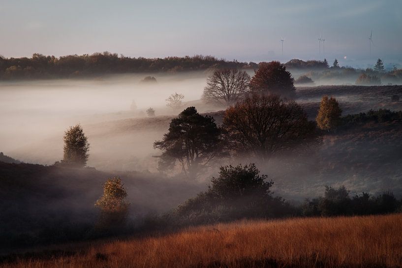 Foggy Posbank (Herikhuizerveld) par Robbert van Rijsewijk