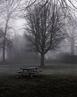 mist vroeg in de ochtend