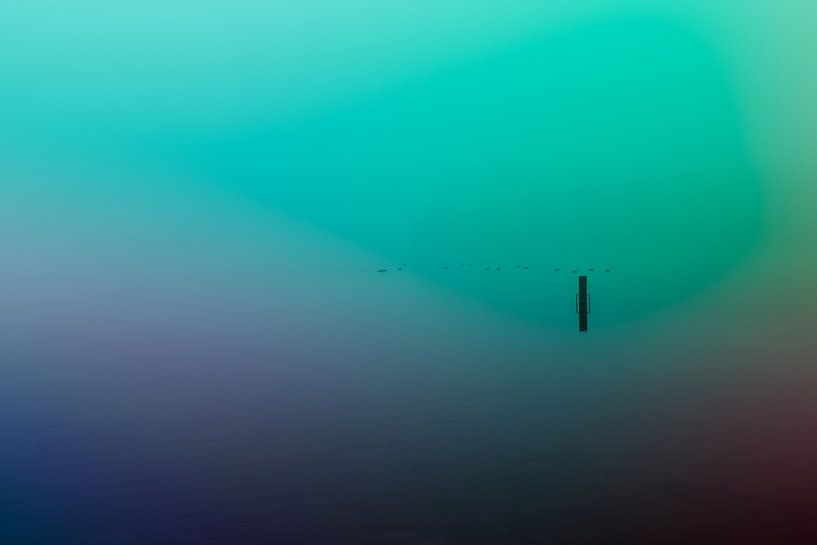 Ultieme leegte door mist over de Rijkerswoerdse Plassen par Robert Wiggers