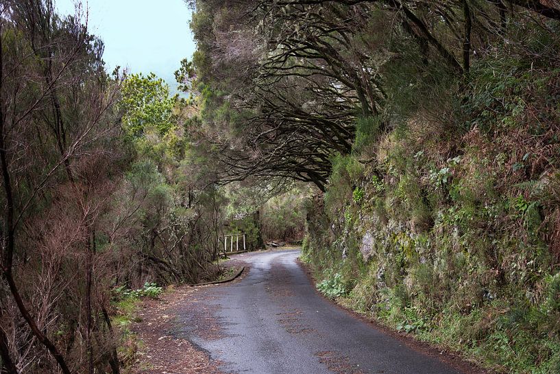 levada wandeling naar de 25 watervallen op madeira von ChrisWillemsen
