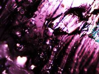 Les ours Haribo sous le microscope