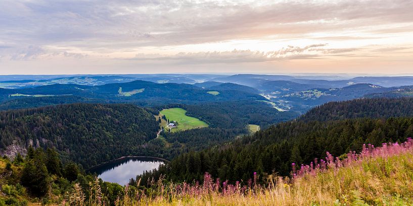 View from the Feldberg in the Black Forest by Werner Dieterich