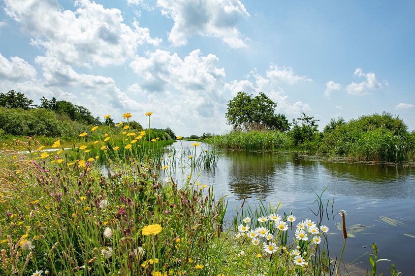 Fluss linde friesland von Tronde bis Kuinre von anne droogsma