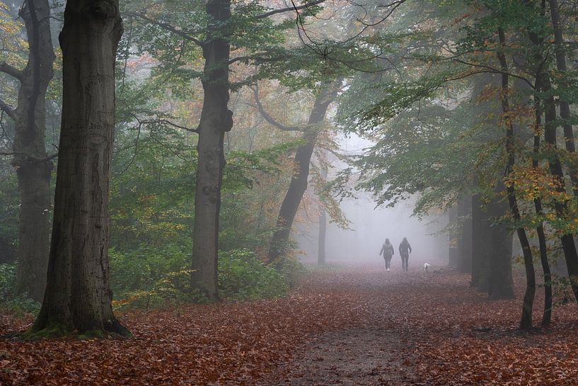Mit dem Hund im Wald spazieren gehen von Anges van der Logt
