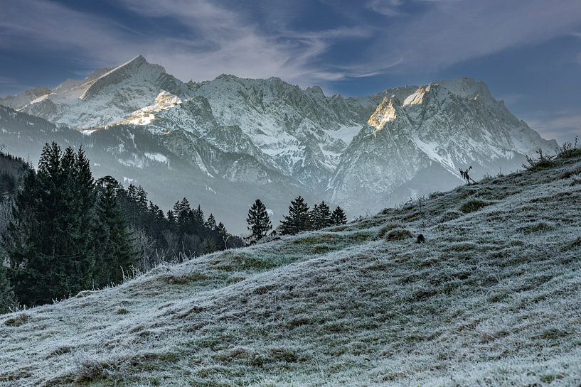 Rauhreif im Werdenfelser Land von Markus Weber