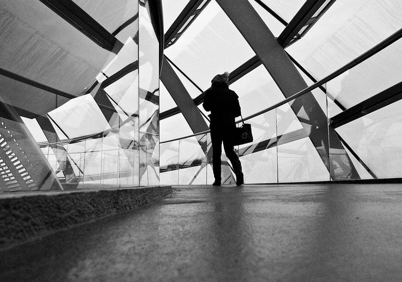 @The Reichstag van Wilco van Bragt