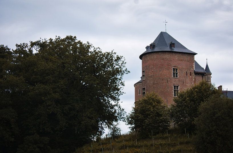 Das Schloss von Gaasbeek von Tuur Wouters