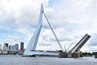 rotterdam