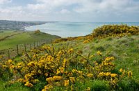 Ansichten von Quiberville