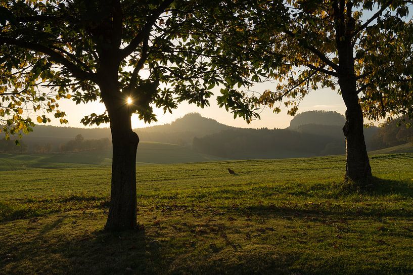 En attendant le coucher du soleil par Adriana Müller