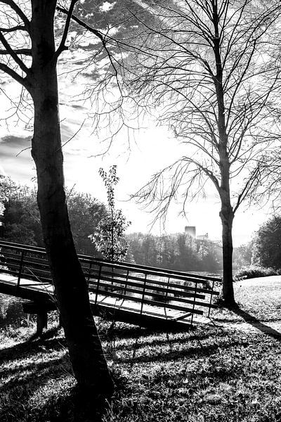 Het Haagse Bos par Aukelien Philips