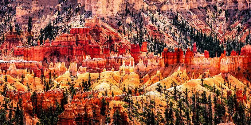 Panorama Aufnahme Hoodoos im Bryce Canyon Nationalpark in Utah USA von Dieter Walther