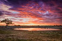Bassin d'eau potable