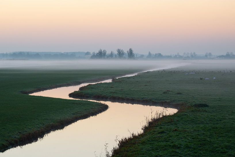 Graben mit Morgennebel in Polderlandschaft von Heleen Schenk / Smeerjewegproducties