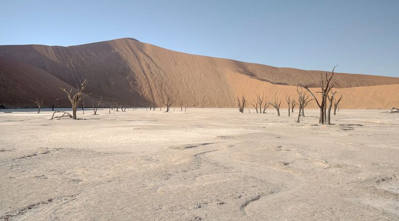 Death vlei by BL Photography