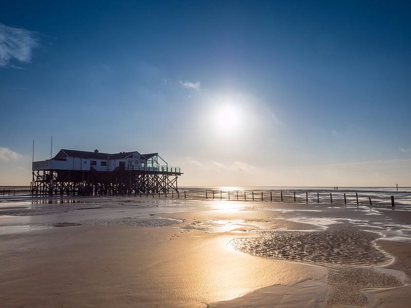 On the beach of Sankt Peter-Ording by Animaflora PicsStock
