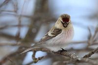 Ich bin sexy und ich weiß es!