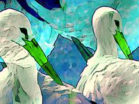 Dans van de Ooievaars