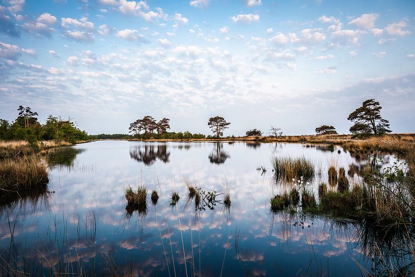 Schapenwolkjes boven ven in het Dwingelderveld bij Kraloo von Anneke Hooijer