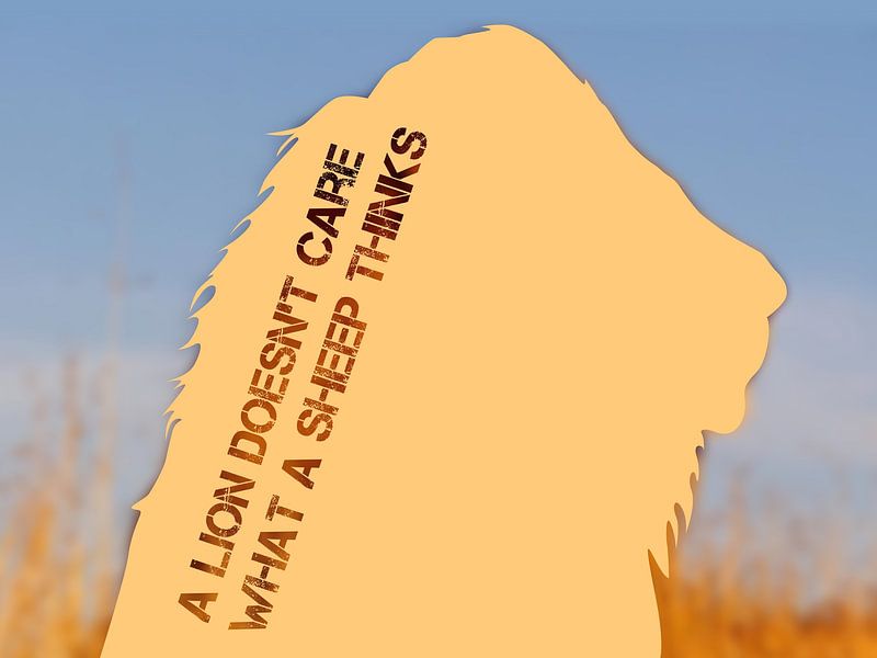 Un lion ne se soucie pas de ce que pense un mouton par Chim_Pan_Zee