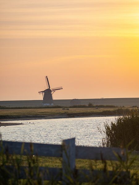 Paysage de polder de Texel avec moulin à vent par Teun Janssen