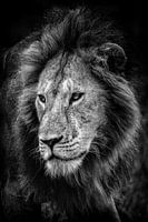 Der König der Tiere